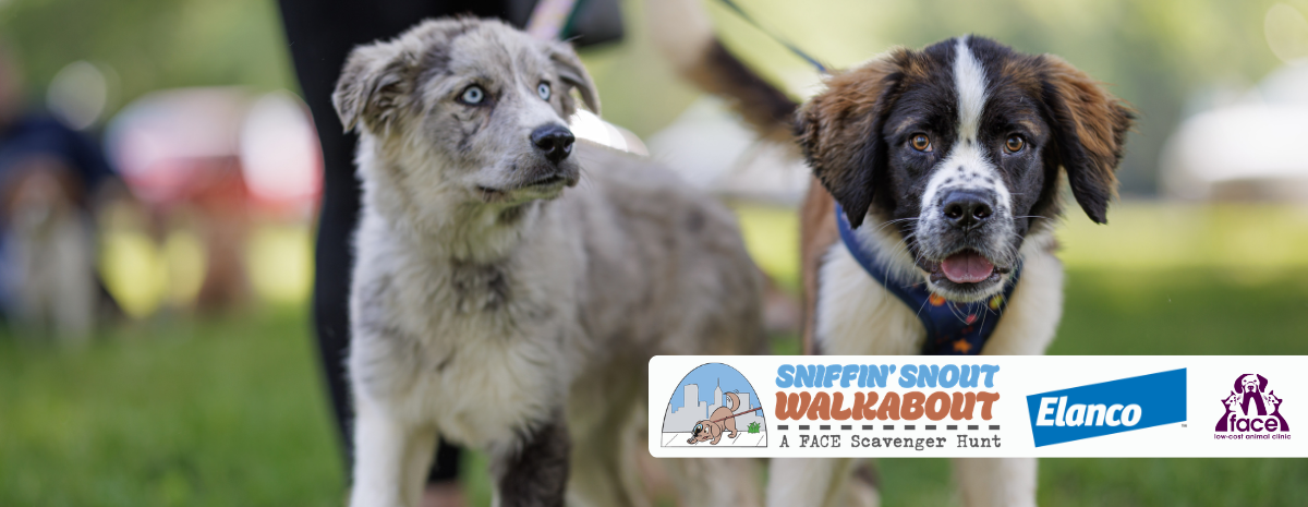 Sniffin' Snout Walkabout - July 23 - 2026